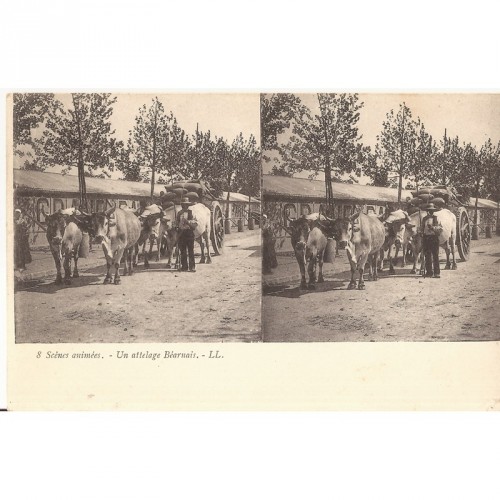 Carte Postale Stereo Ancienne "Un Attelage Béarnais"